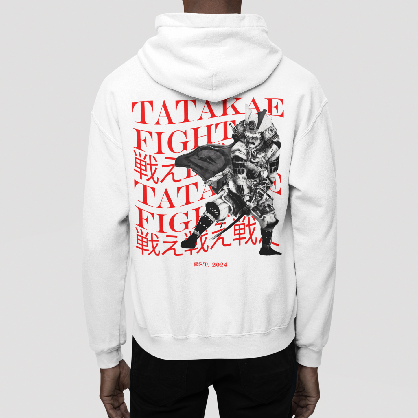 FIGHT ZONE